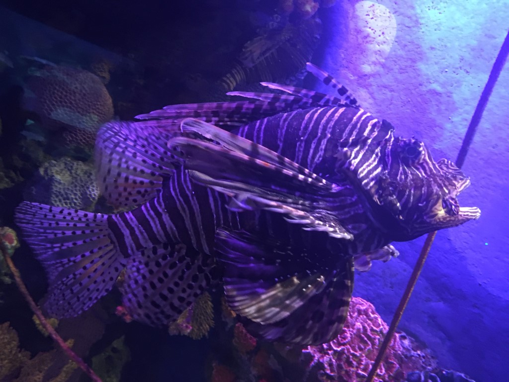 Ocean World