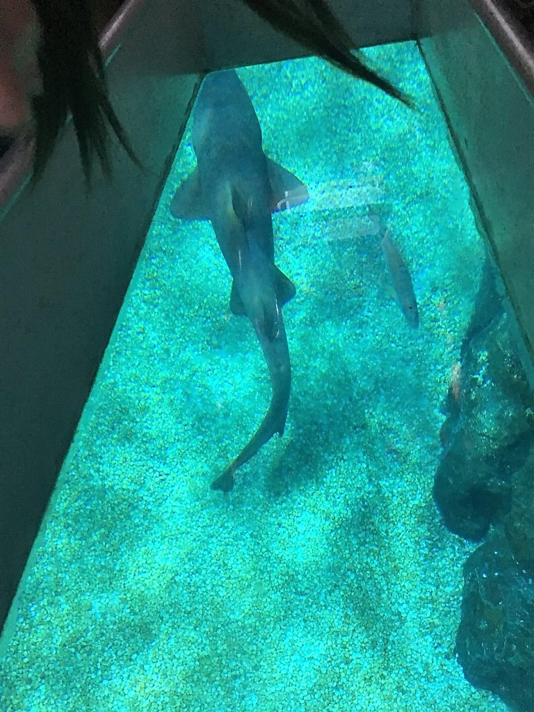 Ocean World