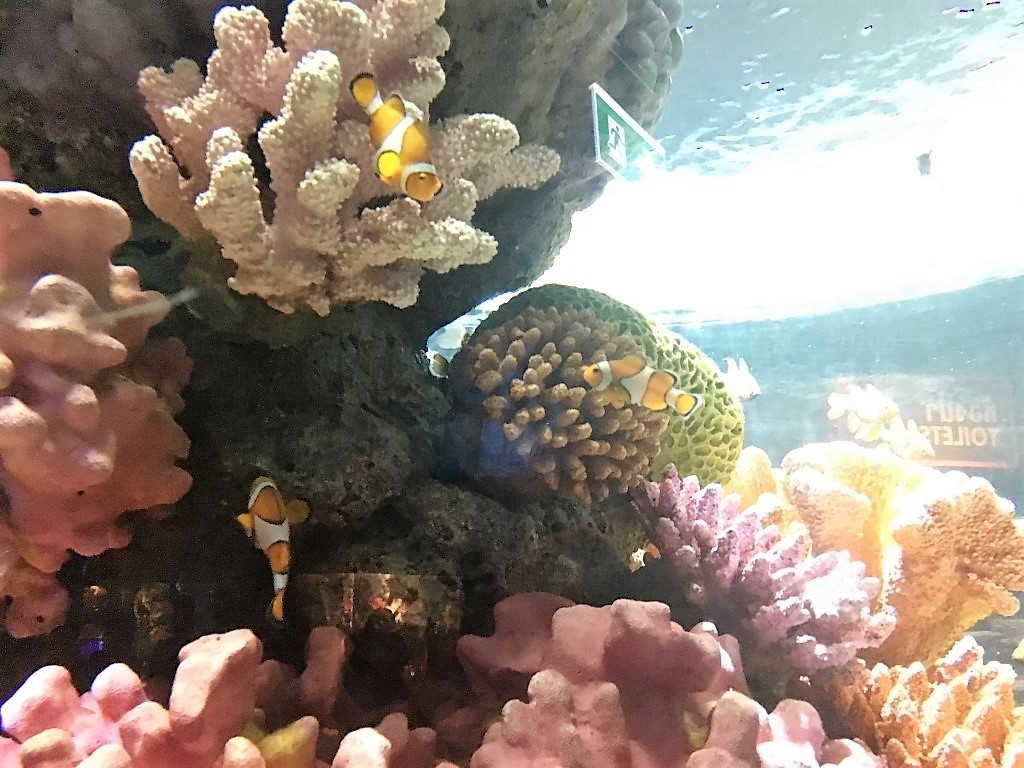 Ocean World